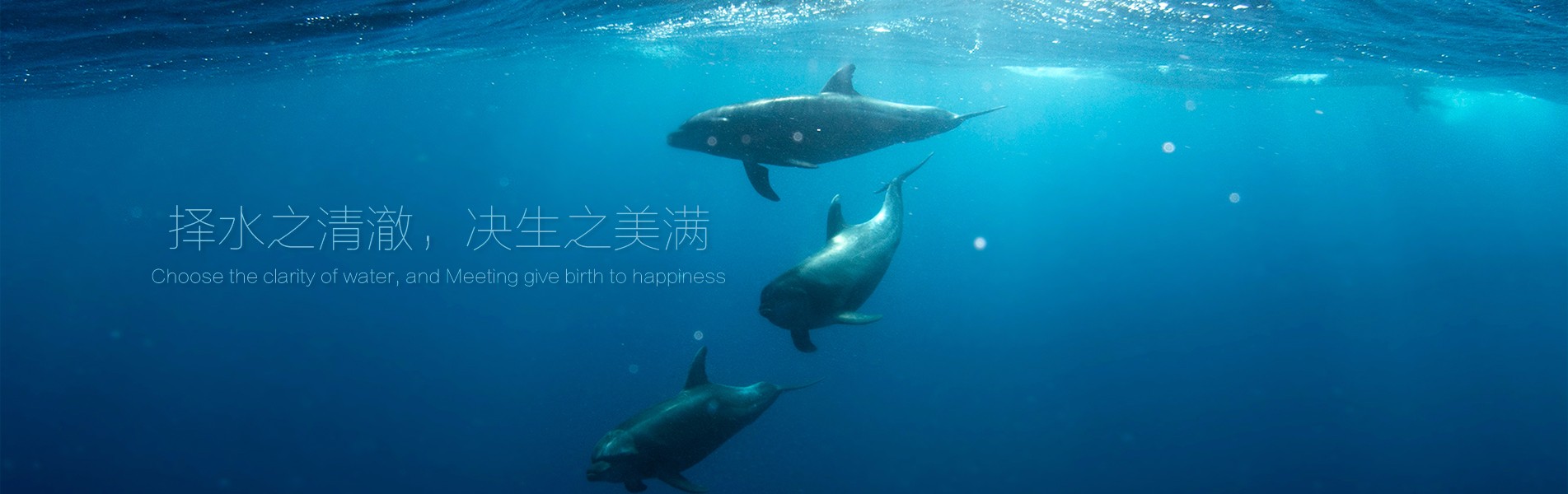 3133cc拉斯维加斯·(中国游)官方网站