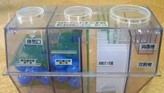 3133cc拉斯维加斯环保